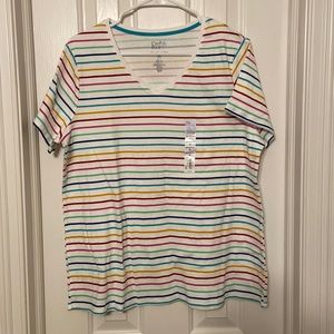 Croft and Barrow Short Sleeve VNeck